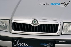 Auto tuning: Front grille - chrom
