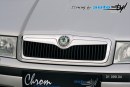 Front grille - chrom