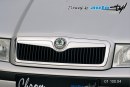 Front grille - chrom