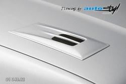Auto tuning: Hood expiration II. - for paint