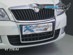 Auto tuning: Licence plate front frame