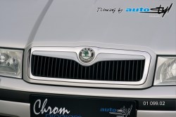Auto tuning: Front grille - for paint