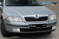 Auto tuning: Front grille - for paint